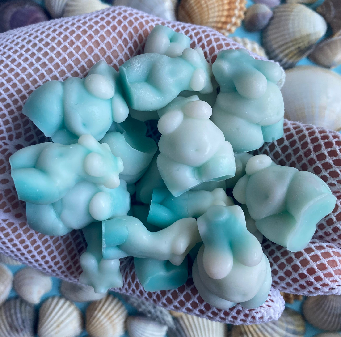 Wax Melts | Duft: Meeresbrise