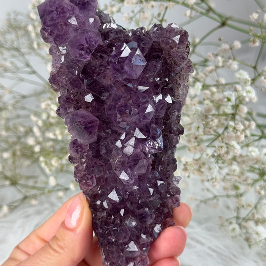 Amethyst Cluster