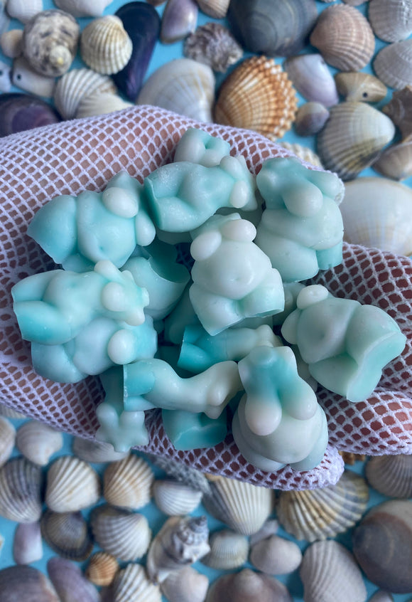 Wax Melts | Duft: Meeresbrise